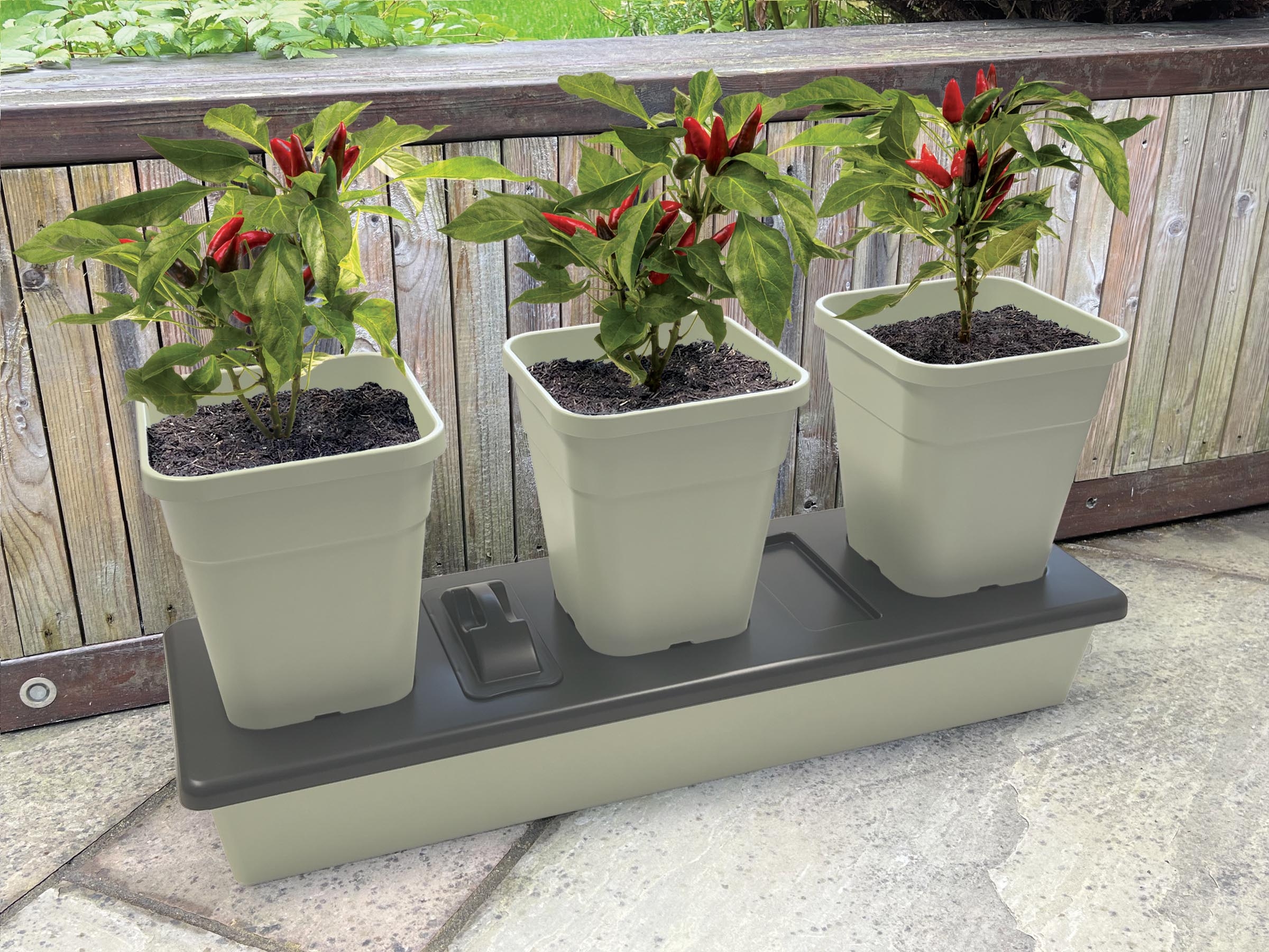 ТЕРРАСНОЕ САДОВОДСТВО